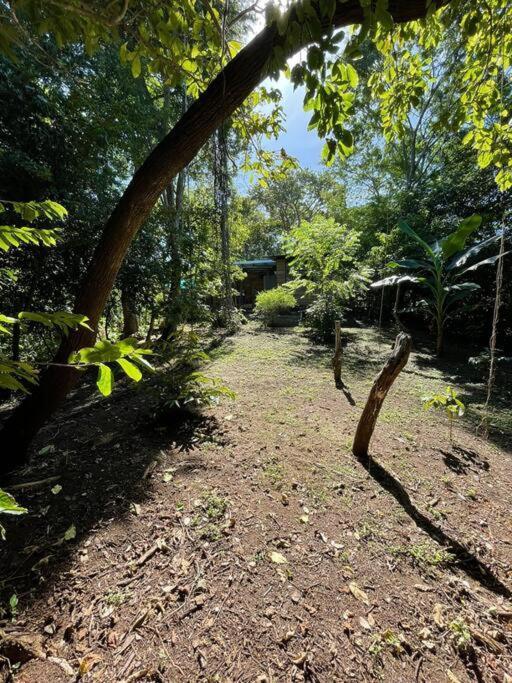 Magica Cabana En Medio Del Bosque En Isla Venado Villa Lepanto Exteriör bild