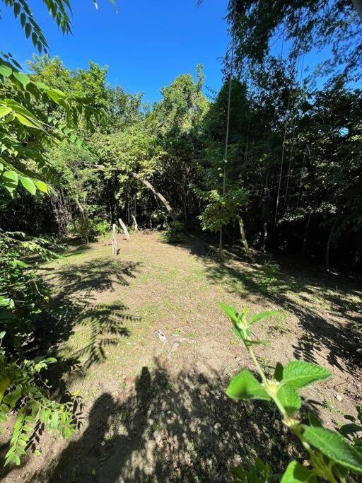 Magica Cabana En Medio Del Bosque En Isla Venado Villa Lepanto Exteriör bild